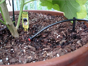 Garden drip system