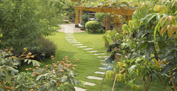 Lush Green Garden With Stone Walkway