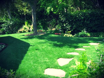 synthetic lawn with stone walkway and shrubbery